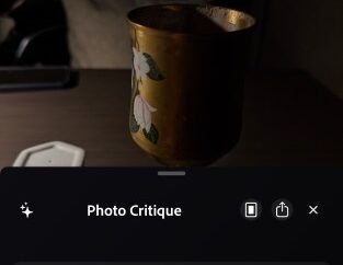 Adobe’s new camera app feature will critique your photos using AI | TechCrunch