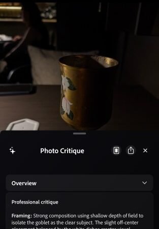 Adobe’s new camera app feature will critique your photos using AI | TechCrunch