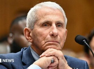 Anthony Fauci refuses to answer questions during tense US Senate hearing on Covid origins