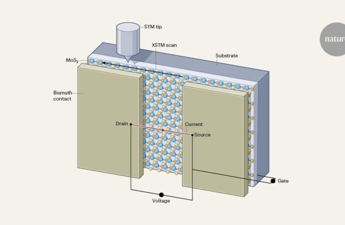 As transistors get smaller, the electrodes must also continue to shrink