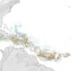 Assessing the sargassum belt – NASA Science
