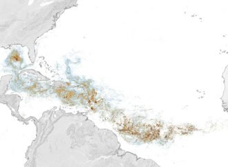 Assessing the sargassum belt – NASA Science