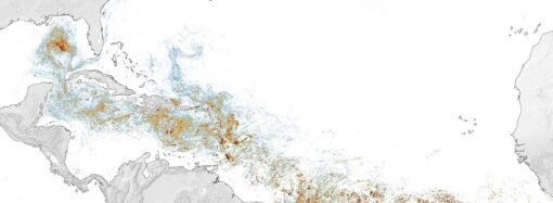 Assessing the sargassum belt – NASA Science