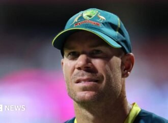 Australian cricket star David Warner pleads guilty to drink-driving