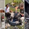Beware of TikTok scammers: AI is coming for your job
