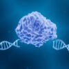 CRISPR gets a boost in power thanks to AI-designed ‘molecular scissors’