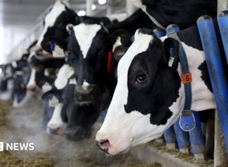 Canada’s ‘powerful’ dairy sector is in Trump’s trade crosshairs