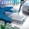 Cancer disparities researchers say changes in federal funding have disrupted their work