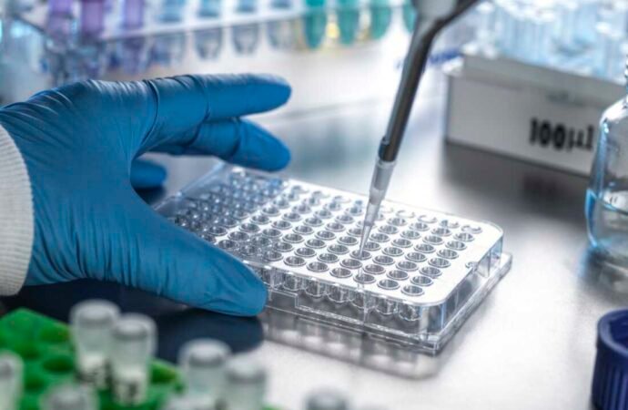Cancer disparities researchers say changes in federal funding have disrupted their work