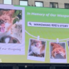 China’s animal lovers fight abuse offline and abroad