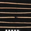 Chiseled Egyptian Princesses Knew Weapons