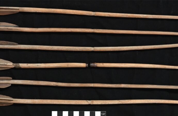Chiseled Egyptian Princesses Knew Weapons
