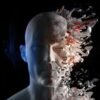 Could this mysterious disappearing organ hold the key to longevity?
