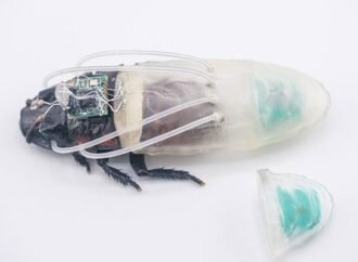 ‘Cyborg’ cockroaches breathe underwater in a printed suit