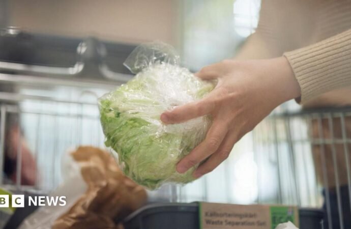 Cyclospora outbreak expands to nine US states, health officials say
