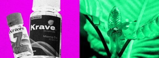 DEA Plans to Ban Kratom’s Opioid-Like Compound 7-OH