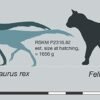 Daily Insight: T.rex babies were small but deadly