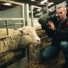 Daily information: Three decades of Dolly