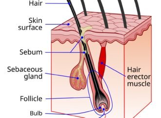 Does summer really make your hair grow faster?