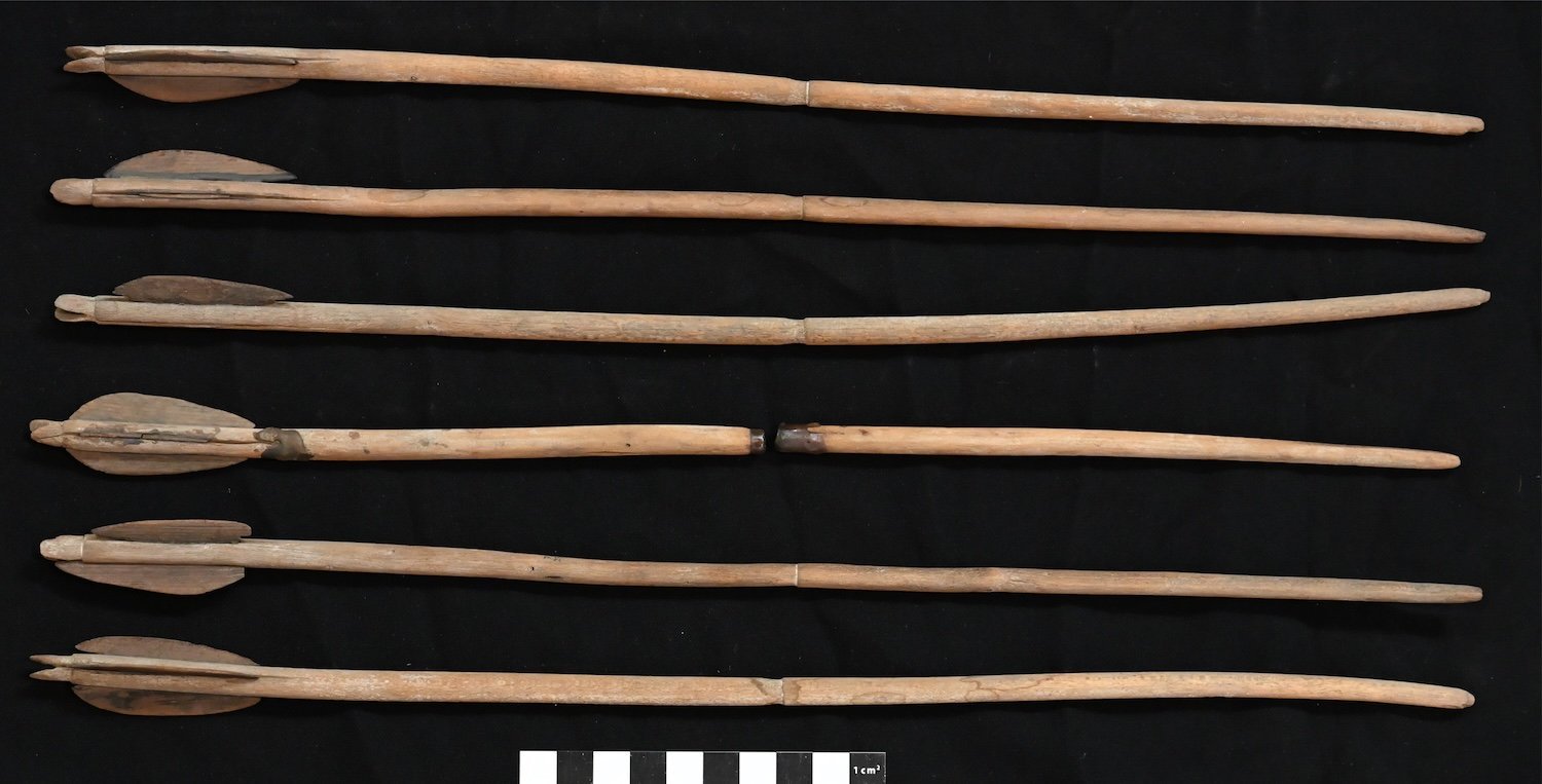 Five ancient Egyptian arrows discovered in a princess's burial chamber.