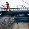 El Niño is already wreaking havoc on Pacific fisheries