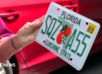 Elderly American woman is surprised to receive a bold new license plate