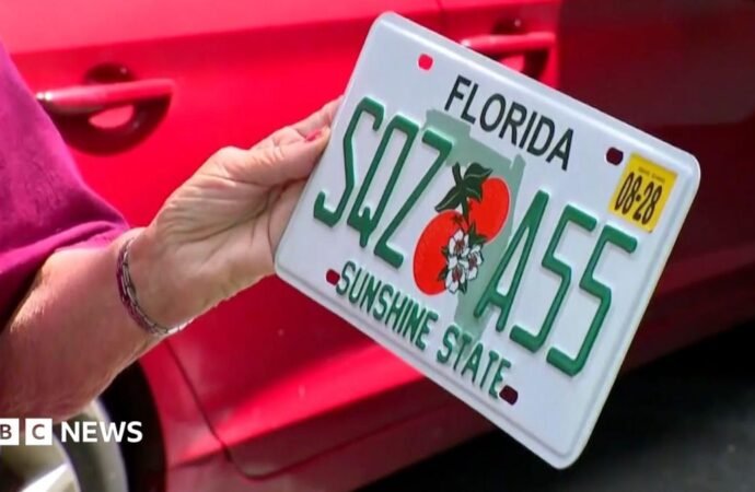 Elderly American woman is surprised to receive a bold new license plate