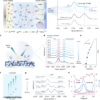 Electrolyte Stabilized Single Phase Li Metal Batteries, Gradient Solvation – Nature