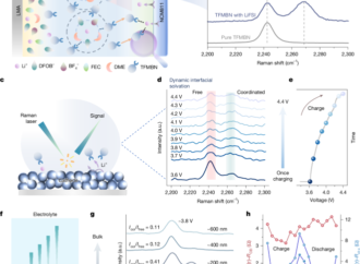 Electrolyte Stabilized Single Phase Li Metal Batteries, Gradient Solvation – Nature