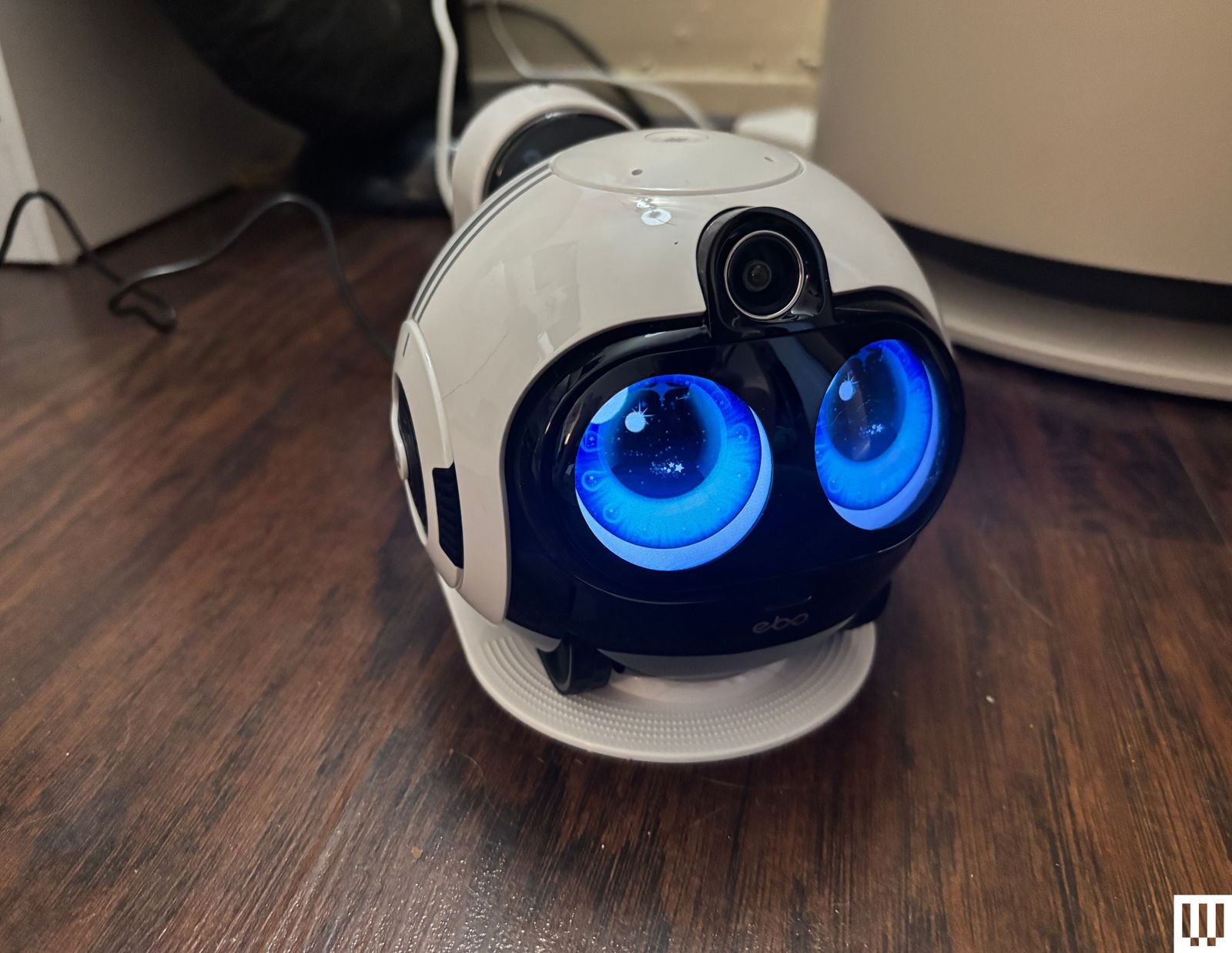 Top 10 Best Pet Cameras of 2026 Furbo Petcube and Enabot
