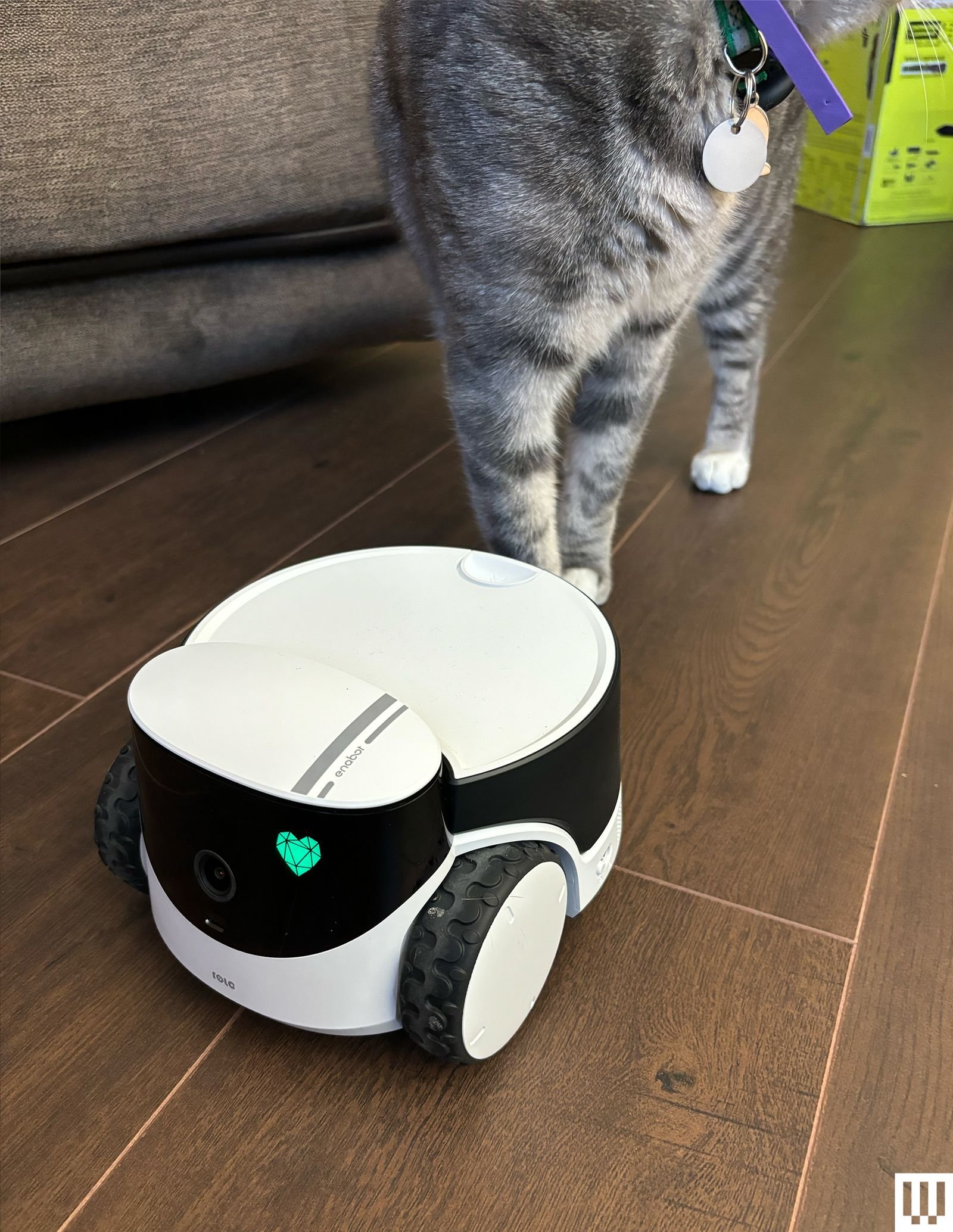 A white pet camera on wheels with black screen and green heart sits on a wooden floor with gray cat paws in the background.