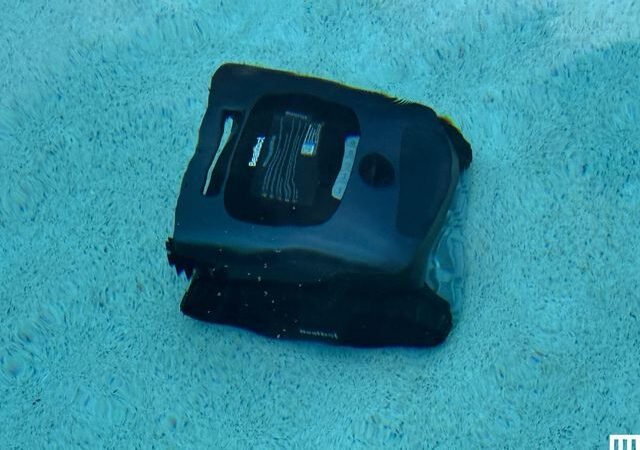 Everything You Need for the Best Staycation Pool Setup