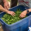 ‘Explosive diarrhea’ spreads through small Midwest community