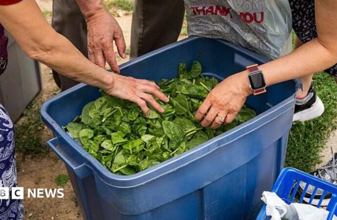 ‘Explosive diarrhea’ spreads through small Midwest community