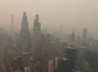 FIFA does not have a plan to confront climate change