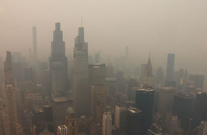 FIFA does not have a plan to confront climate change