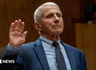 Fauci will face contempt vote after refusing to answer questions about Covid in Congress
