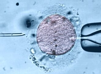 Fertility clinics offer young mitochondria in controversial fertility technique