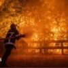 Fires in France and Spain: Macron calls crisis meeting as forest fires threaten Bordeaux