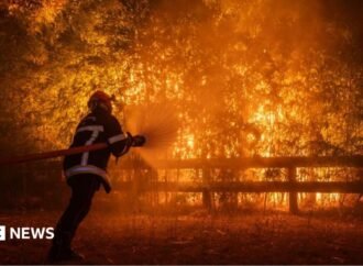 Fires in France and Spain: Macron calls crisis meeting as forest fires threaten Bordeaux