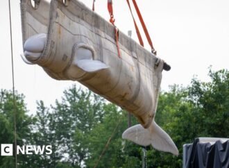 First beluga whales relocated from closed Marineland park reach new homes in US