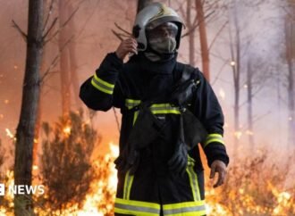 Forest fire now nine miles from French city of Bordeaux, mayor warns