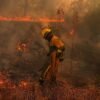 Forest fires threaten Bordeaux as France and Spain battle rages
