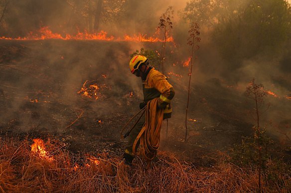 Forest fires threaten Bordeaux as France and Spain battle rages