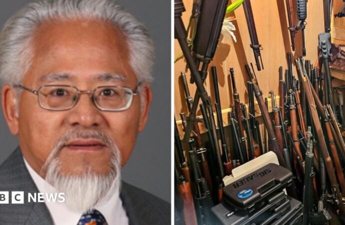 Former Canadian MP Inky Mark arrested after police seize 439 antique guns and cannons from his home