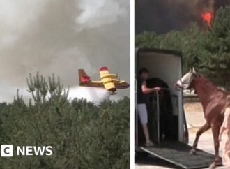 France: Horses evacuated as fire approaches riding center near Paris