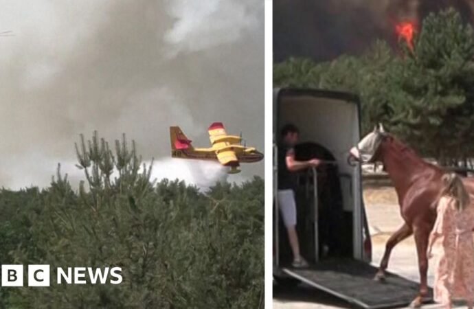 France: Horses evacuated as fire approaches riding center near Paris