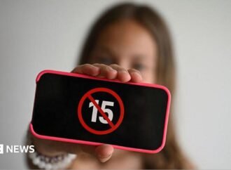 France approves the ban on social networks for children under 15 years of age