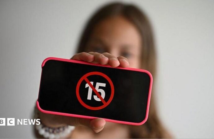 France approves the ban on social networks for children under 15 years of age