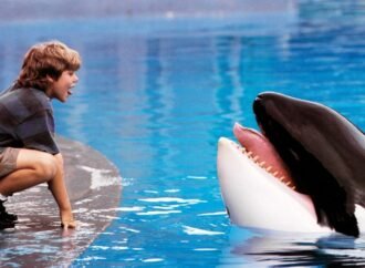 ‘Free Willy’ reboot in the works at Warner Bros.